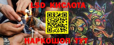 PSILOCYBIN Будённовск