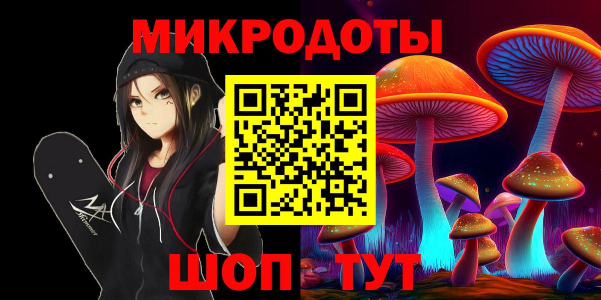 Псилоцибиновые грибы мицелий Новозыбков
