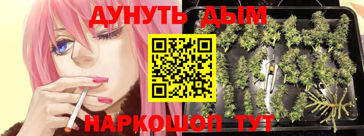 МАРИХУАНА конопля Новозыбков