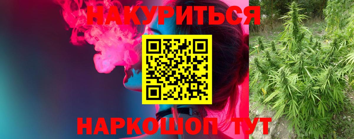 Новозыбков  Шишки марихуана марихуана  Конопля гибрид  Вход с VPN 
